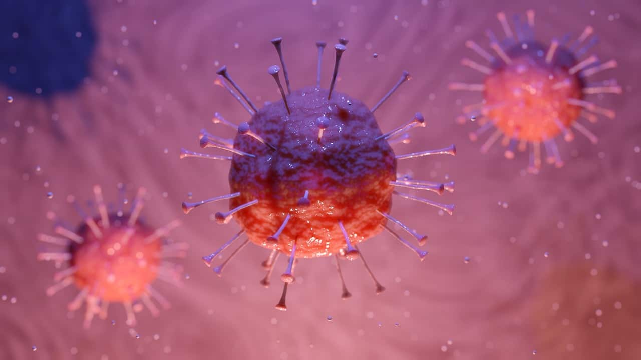 New Coronavirus Cases Decline as WHO Praises China’s Response