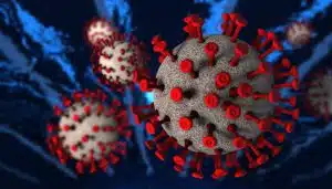 Coronavirus Arrives in Algeria: First Case Confirmed
