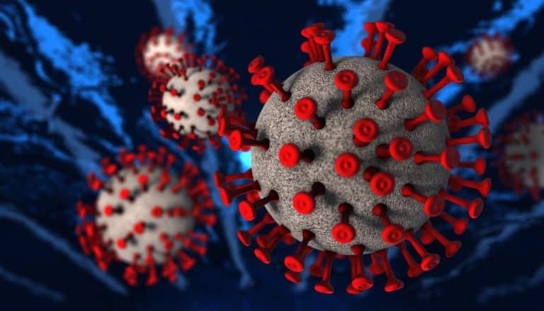 Coronavirus Arrives in Algeria: First Case Confirmed