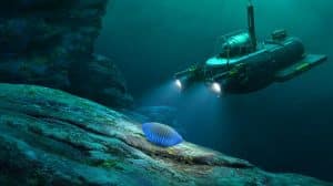 Illustration of Bathylepeta wadatsumi, a newly discovered deep-sea limpet species.