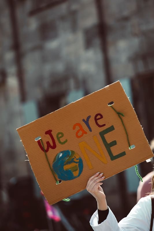 Youth-Led Climate Action Shines at COP25