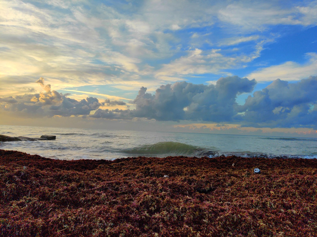 Mysterious Giant Brown Ribbon Reveals Catastrophic Changes In Atlantic That Terrify Scientists And Threaten Global Disaster