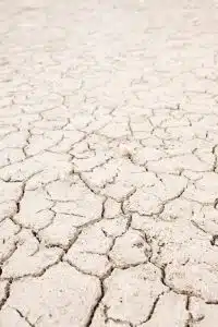 Africa Needs Real Answers for Its Climate Refugees
