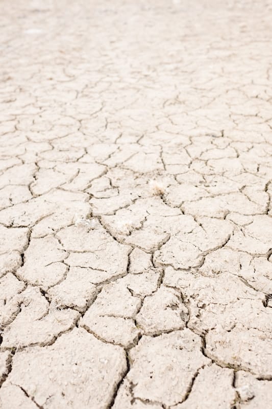 Africa Needs Real Answers for Its Climate Refugees