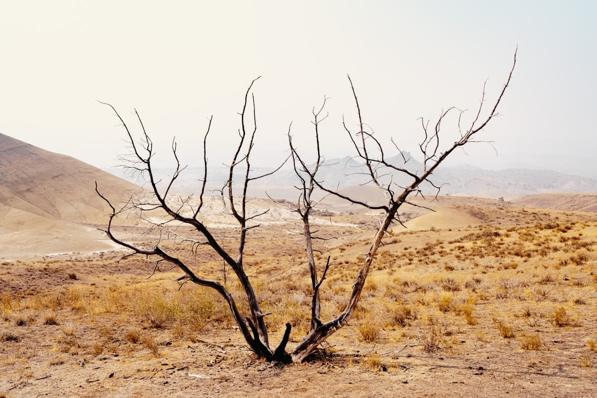 Rising Health Risks as Heatwave Intensifies Across Europe: WMO
