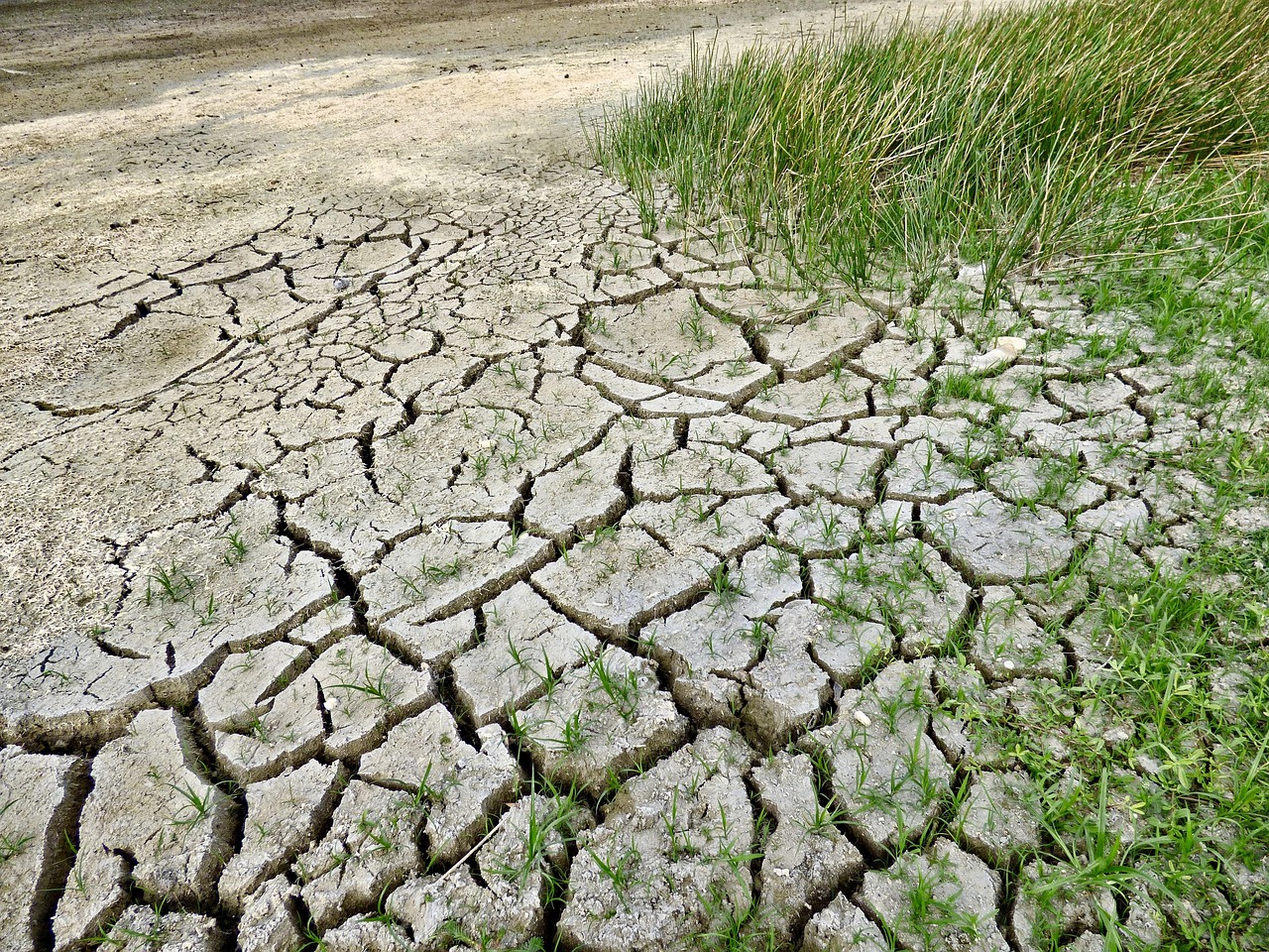 This Shocking Revelation Terrifies: South Africa Rising From Ocean Due To Droughts, Changing Everything You Thought You Knew