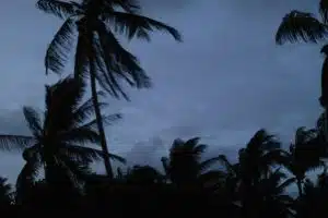 Tropical Storm Chalane Hits Central Mozambique, Moves Toward Zimbabwe and Beyond