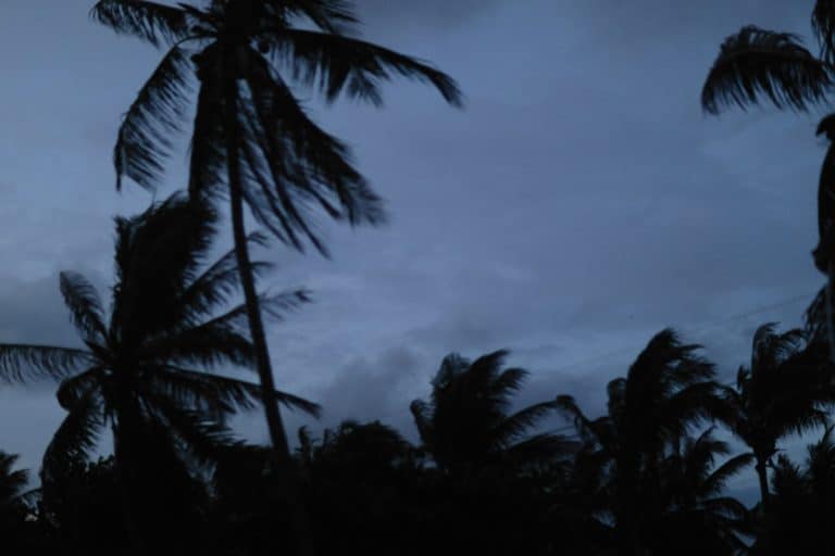 Tropical Storm Chalane Hits Central Mozambique, Moves Toward Zimbabwe and Beyond