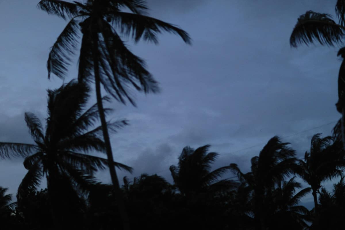 Tropical Storm Chalane Hits Central Mozambique, Moves Toward Zimbabwe and Beyond