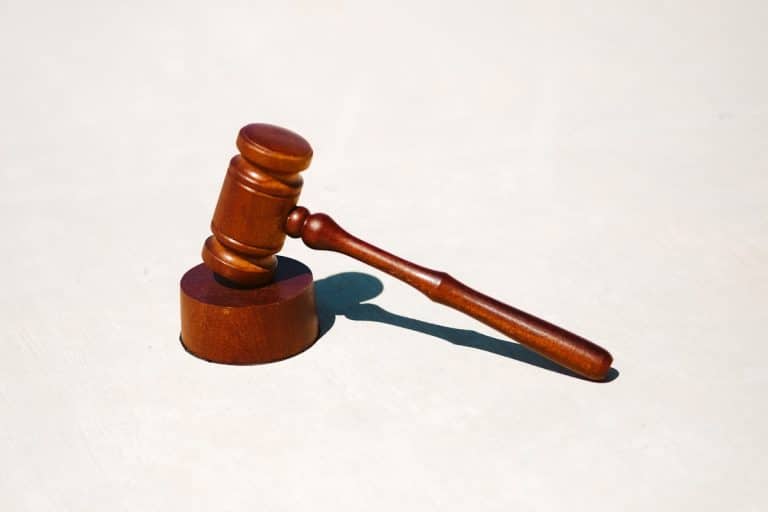 Italian Judge Releases Sea-Watch Captain