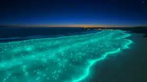 Illustration of a bioluminescent phytoplankton bloom off the southern coast of Australia, captured by NASA satellites.