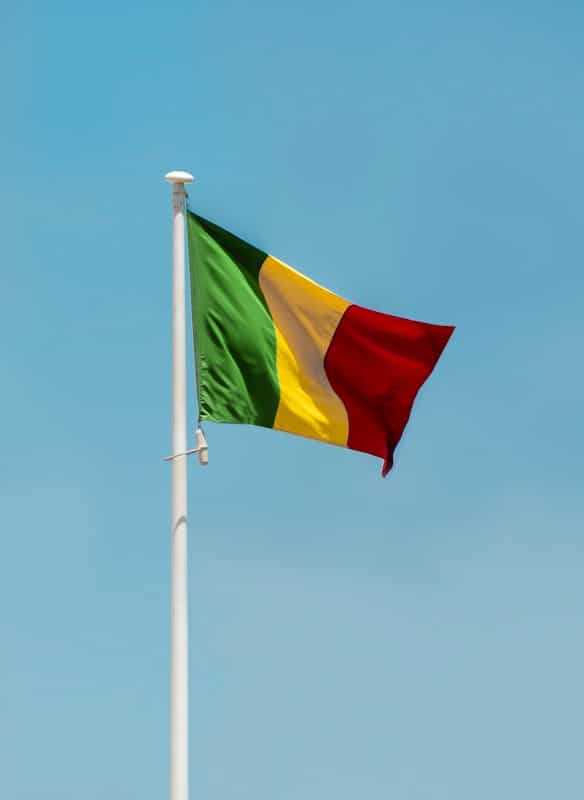 Deadly Coordinated Terrorist Attacks on Military Bases in Mali