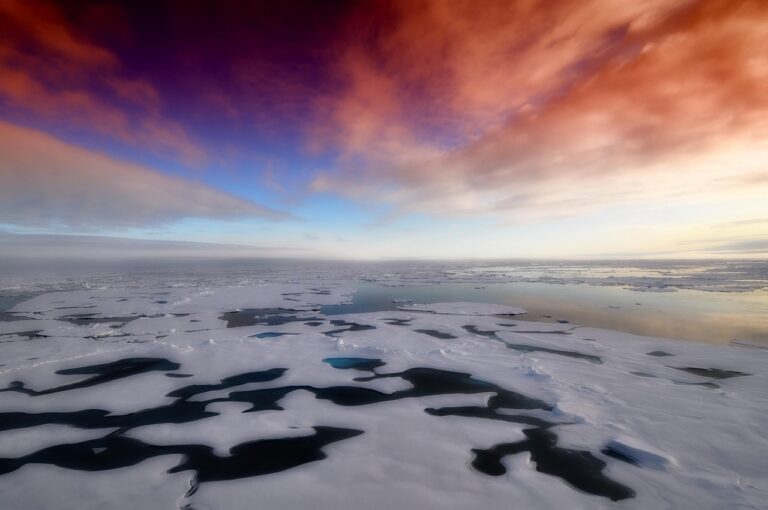 Antarctic Sea Ice Decline Exposes Urgent Climate Concerns, Revealing Threats to Global Ecosystems and Human Communities