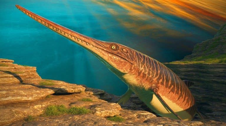 New Marine Reptile Discovery on England’s Jurassic Coast Sparks Fascination: Unveiling the ‘Sword Dragon’ Species