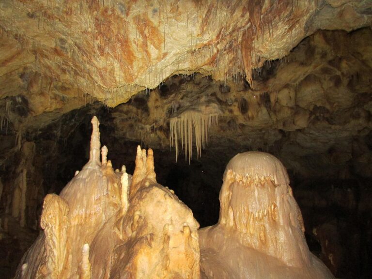 Cave Soil DNA Reveals New Insights Into Ice Age Life, Challenging Our Understanding of Ancient Ecosystems