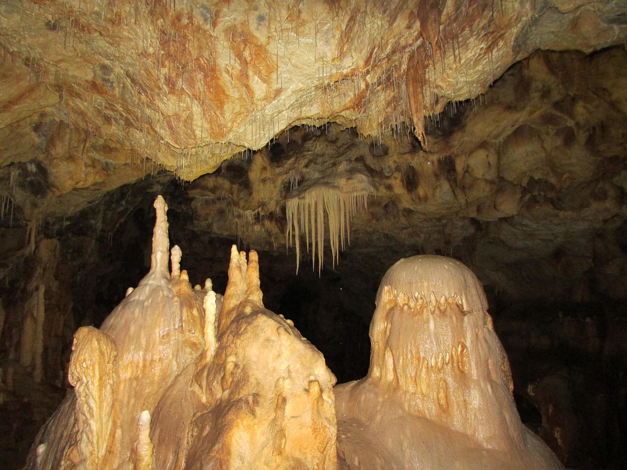 Cave Soil DNA Reveals New Insights Into Ice Age Life, Challenging Our Understanding of Ancient Ecosystems