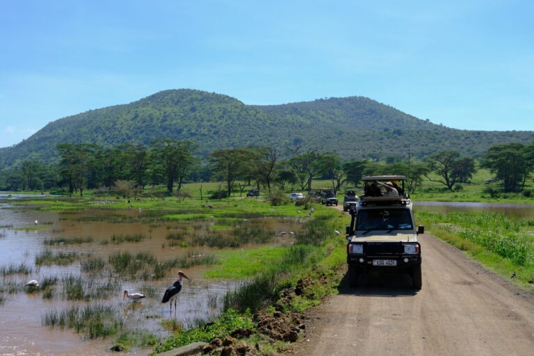Top tourism destinations to visit in africa