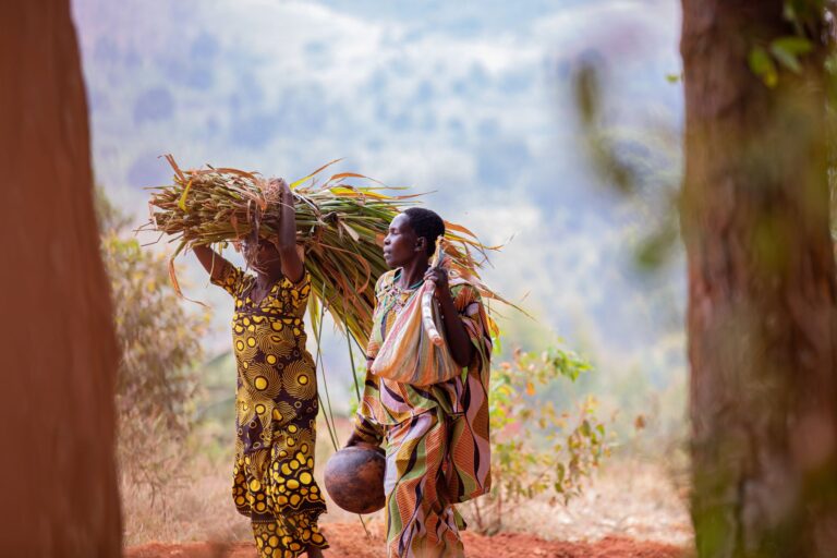 How agriculture is evolving across africa