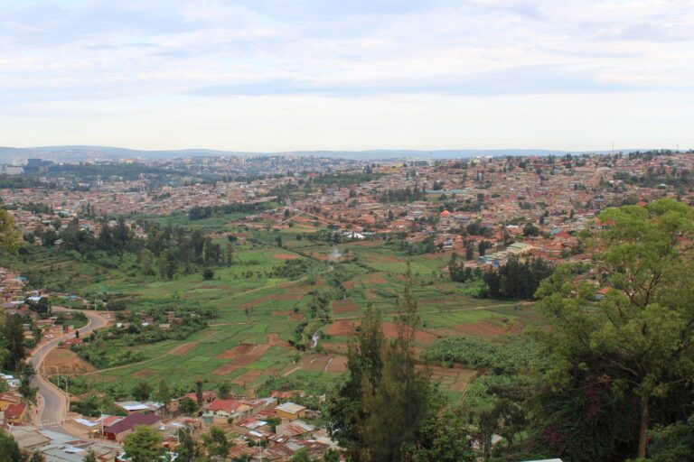 The rise of urbanization in african cities