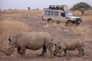 Promoting sustainable tourism in african countries