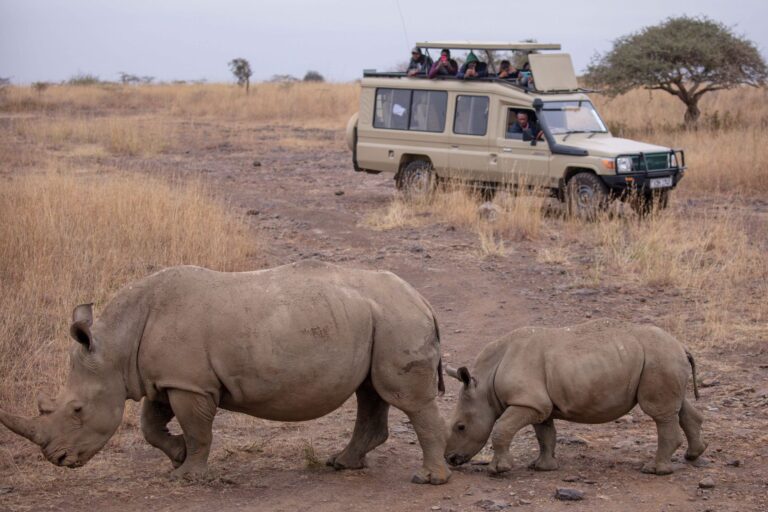Promoting sustainable tourism in african countries
