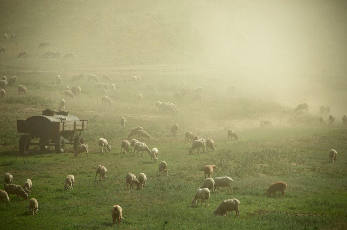 Ethiopia links climate resilience, health investment and peacebuilding in development agenda