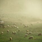 Ethiopia links climate resilience, health investment and peacebuilding in development agenda