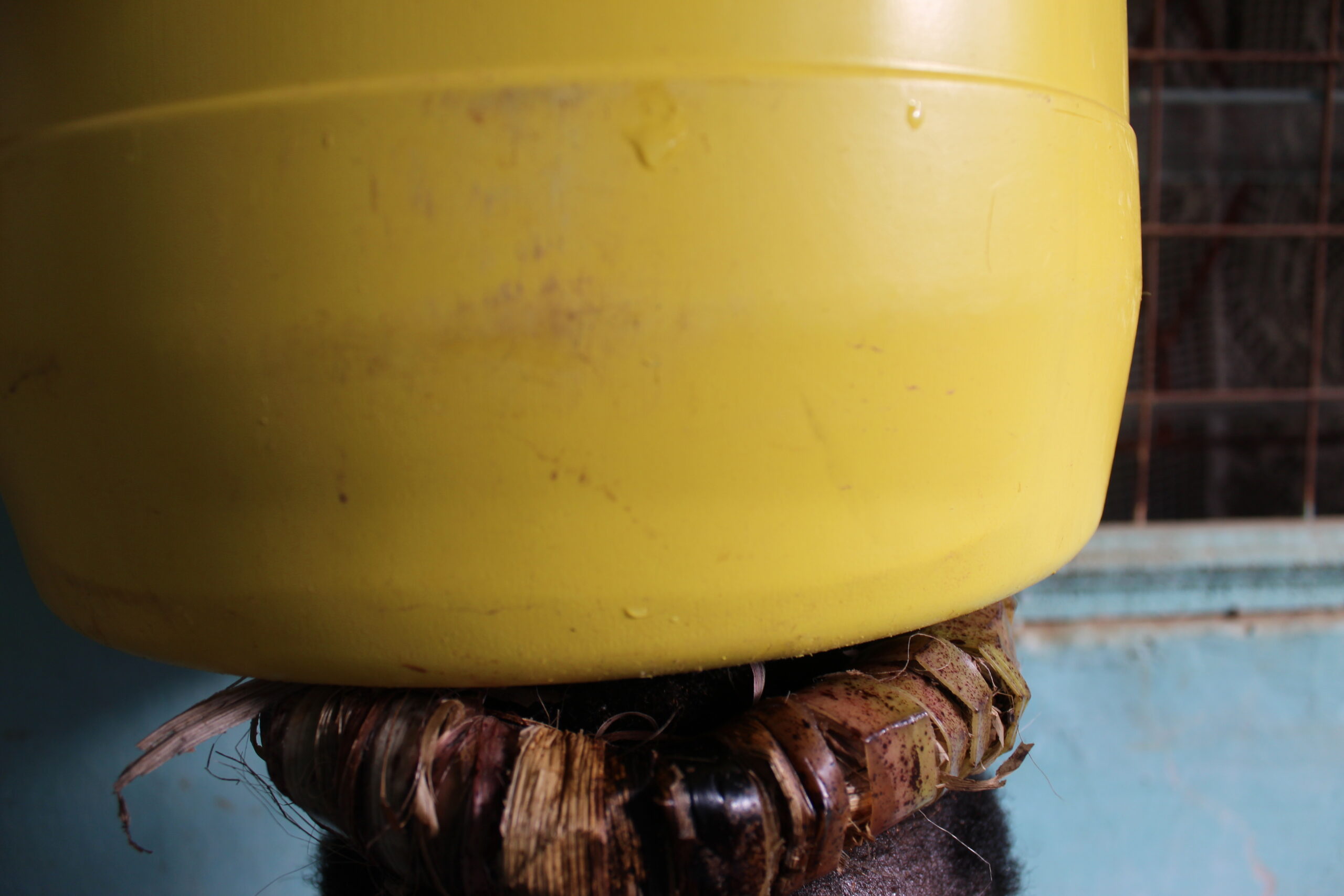 How to Keep Household Drinking Water Safe From Source to Cup